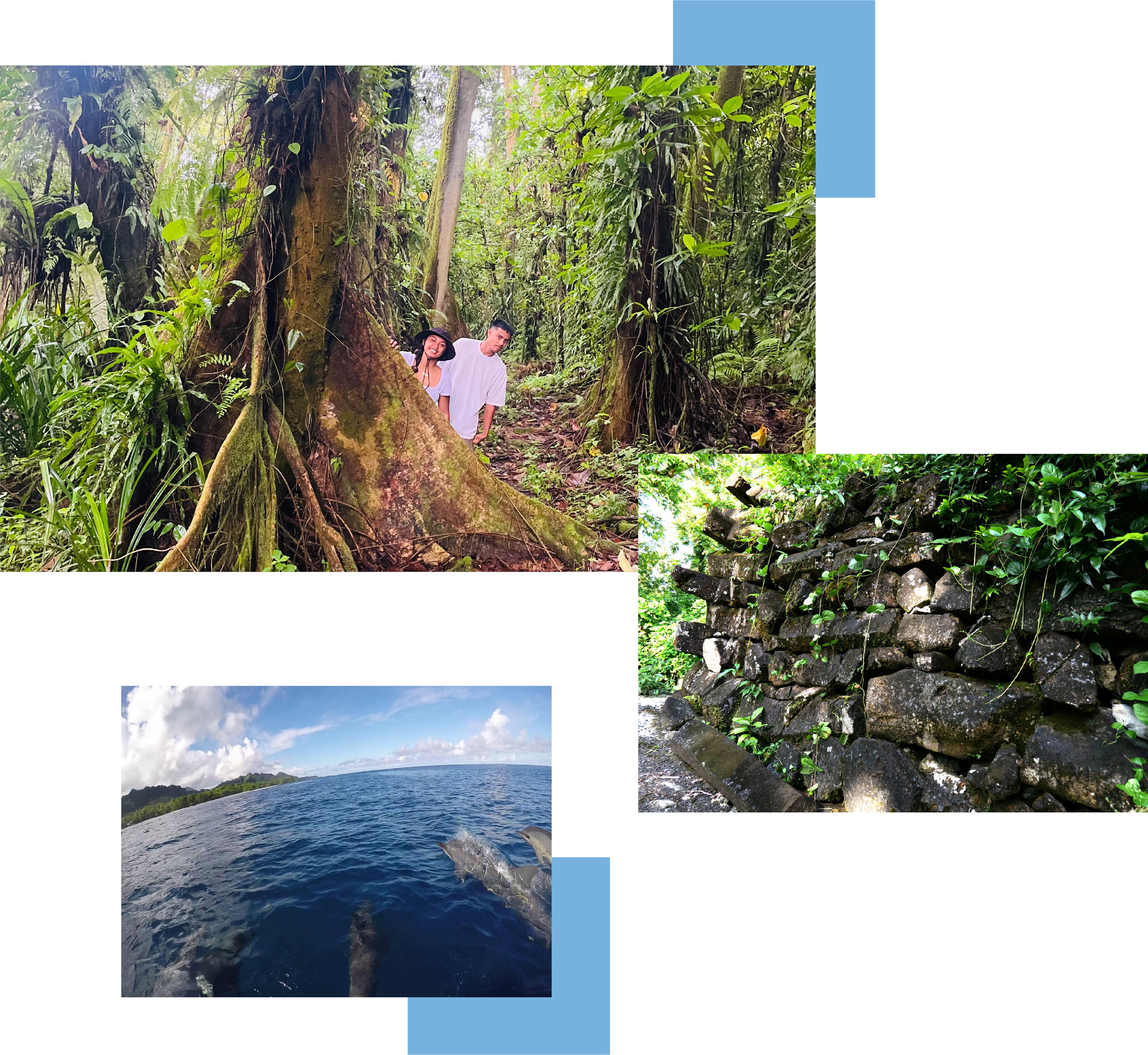 yap image